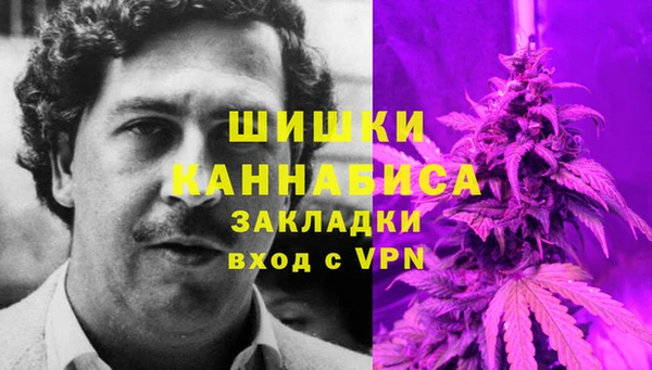 дживик Михайловск