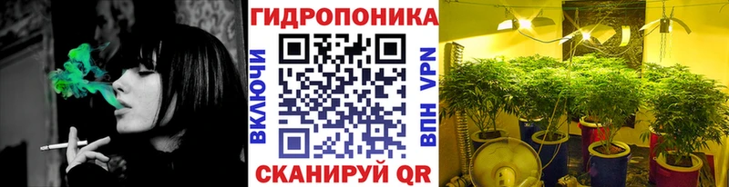 ОМГ ОМГ как зайти  Жирновск  Шишки марихуана семена 